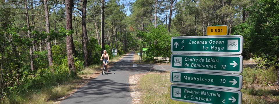 pistes cyclables en forêt